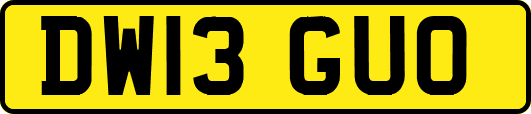 DW13GUO