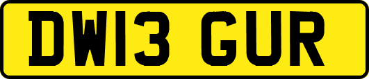 DW13GUR