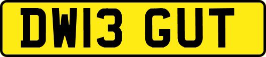 DW13GUT