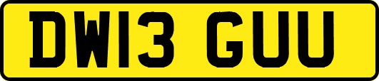 DW13GUU