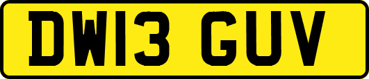 DW13GUV