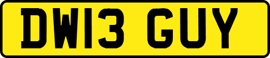 DW13GUY