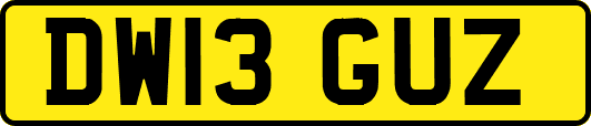 DW13GUZ
