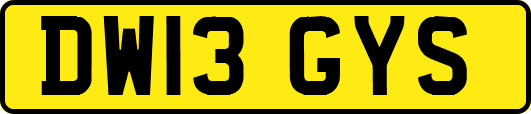 DW13GYS