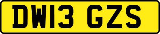 DW13GZS