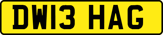 DW13HAG