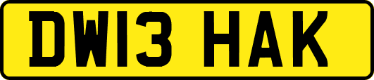 DW13HAK