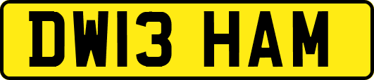 DW13HAM