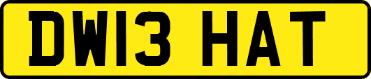 DW13HAT