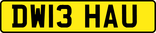 DW13HAU