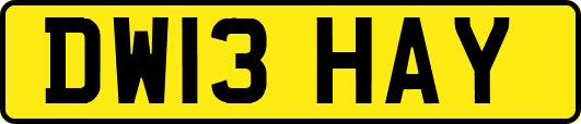 DW13HAY
