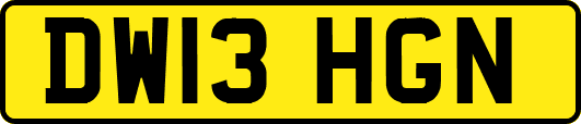 DW13HGN