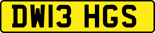 DW13HGS