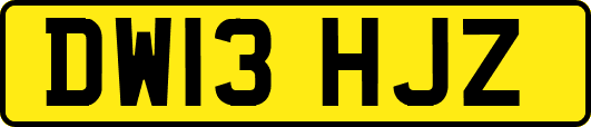DW13HJZ
