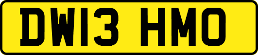 DW13HMO
