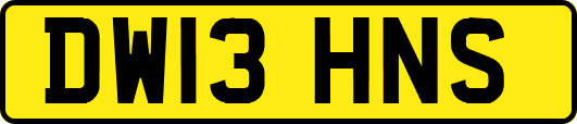 DW13HNS