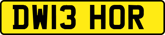 DW13HOR