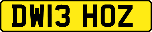 DW13HOZ