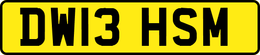 DW13HSM