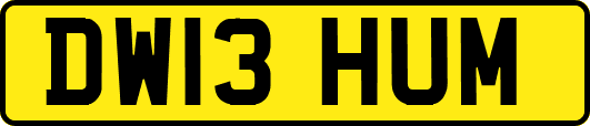 DW13HUM