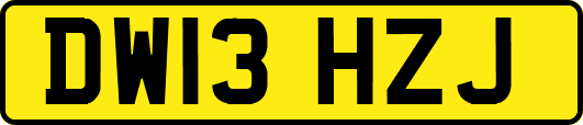 DW13HZJ