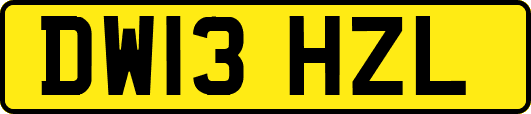 DW13HZL