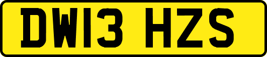DW13HZS