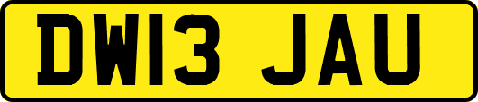 DW13JAU