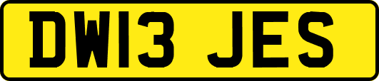 DW13JES
