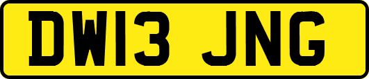 DW13JNG
