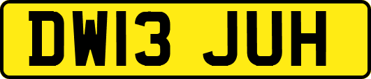 DW13JUH