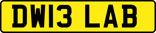 DW13LAB