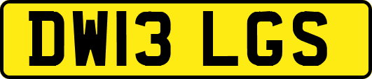 DW13LGS