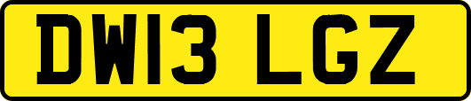 DW13LGZ