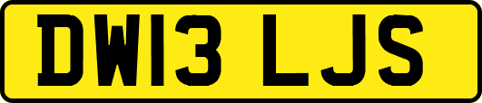 DW13LJS