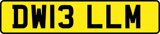 DW13LLM