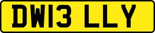 DW13LLY
