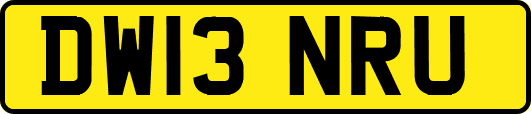 DW13NRU