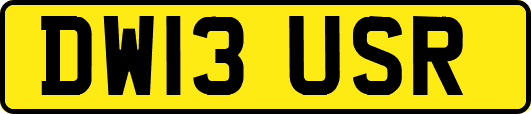 DW13USR