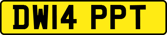 DW14PPT