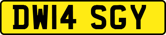 DW14SGY
