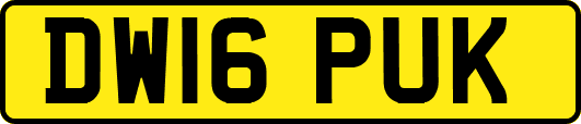 DW16PUK