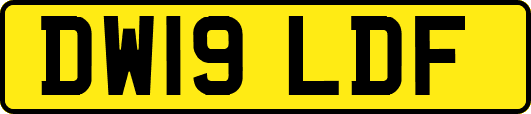 DW19LDF