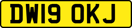 DW19OKJ