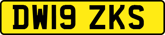 DW19ZKS