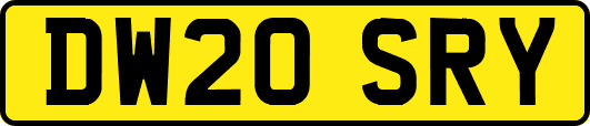 DW20SRY