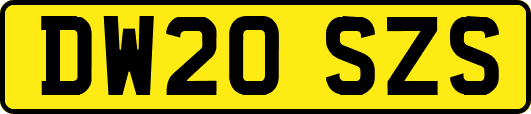 DW20SZS