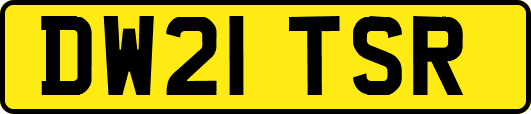 DW21TSR