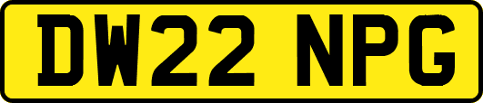DW22NPG