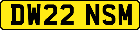 DW22NSM